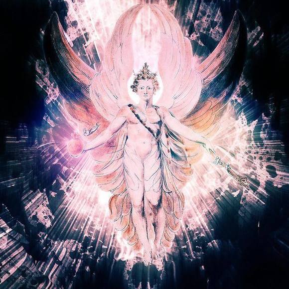 Meet your Posher, Niccolò - Picture 1 of 1